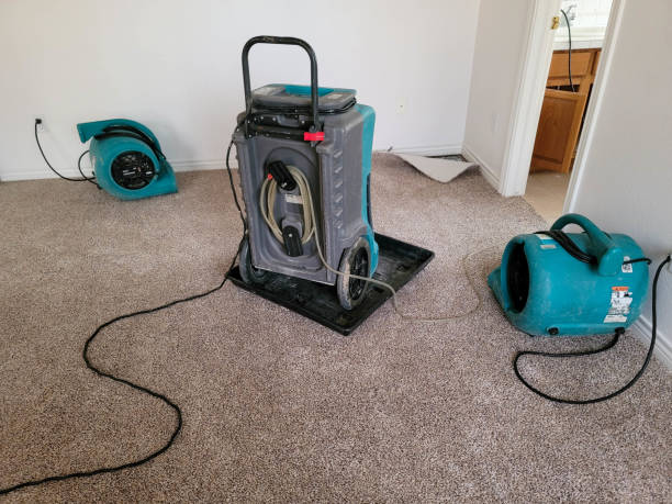 Best Local water damage restoration  in Worcester, MA