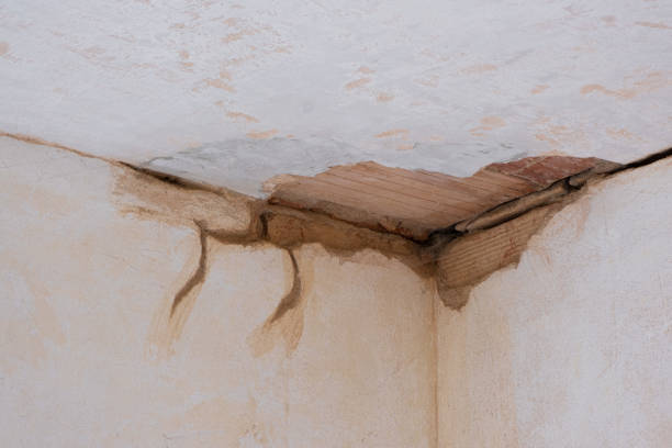 Best Water damage restoration process  in Worcester, MA