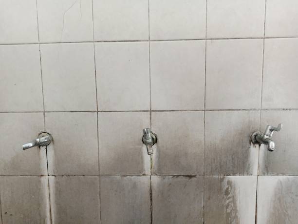 Best Water damage restoration cost  in Worcester, MA